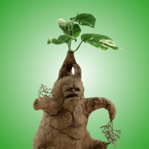Baby Mandrake costume guide.