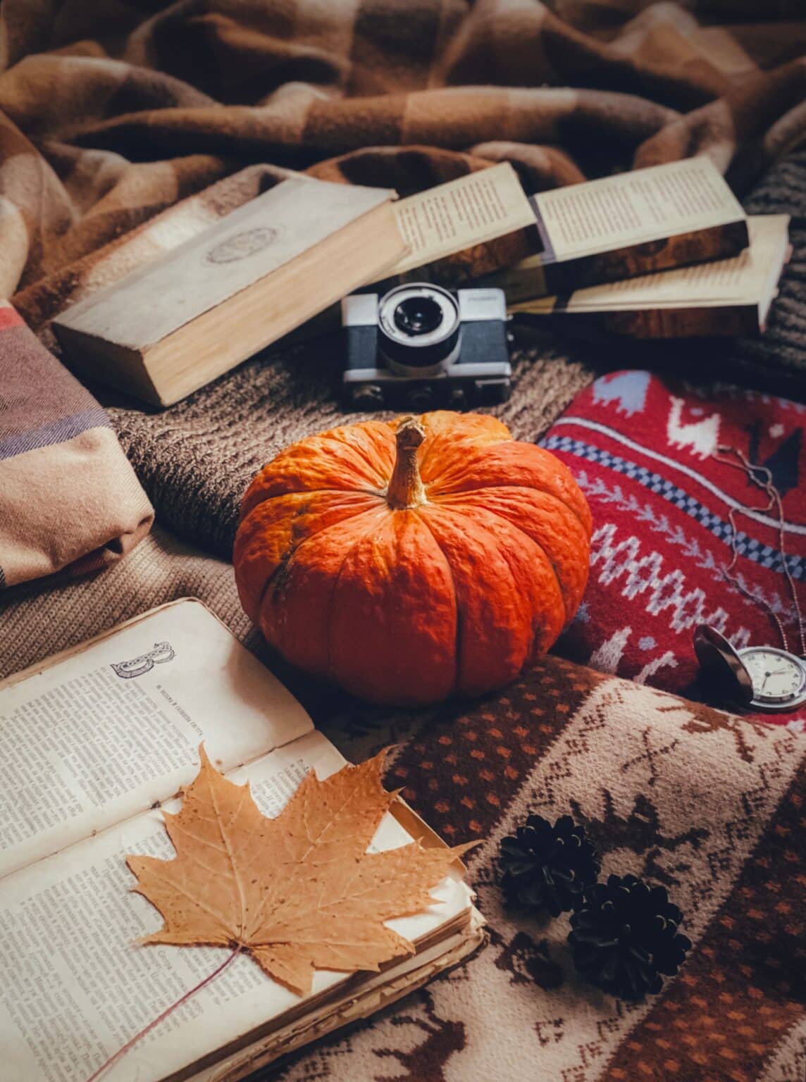 An autumn pumpkin resting beside books