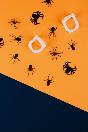 Plastic vampire fangs and black spider decorations on an orange background